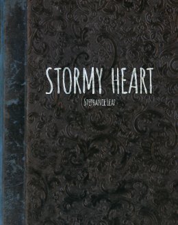 Stormy Heart book cover