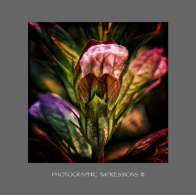 Photographic Impressions III book cover