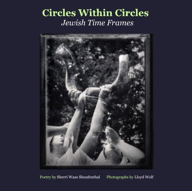 Circles Within Circles Jewish Time Frames book cover