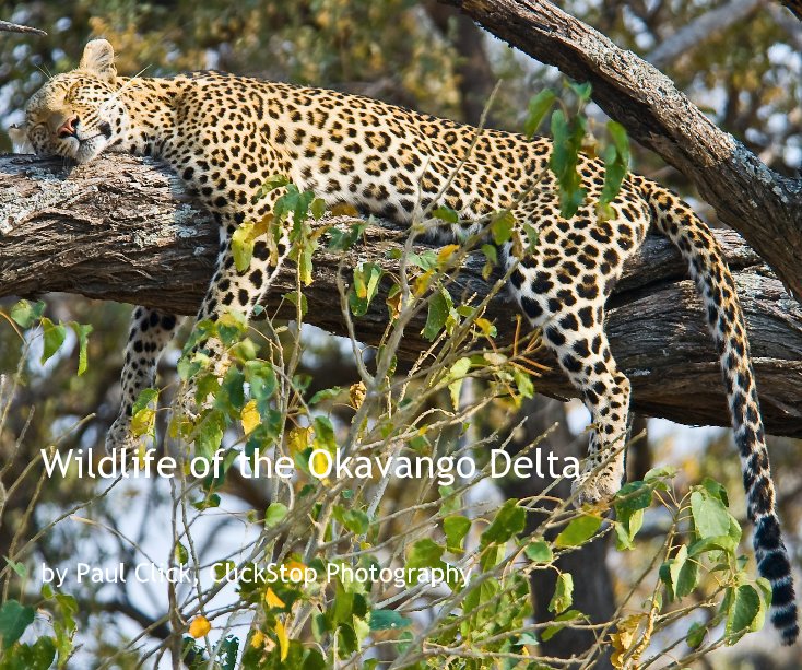 Ver Wildlife of the Okavango Delta por By Paul Click, ClickStop Photography