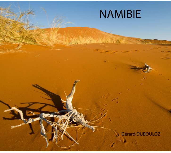 View NAMIBIE by Gérard DUBOULOZ