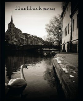 flashback book cover