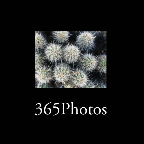 View 365Photos by Austin Kessler