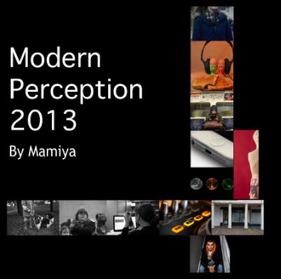 Modern Perception book cover