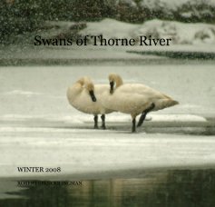 Swans of Thorne River book cover