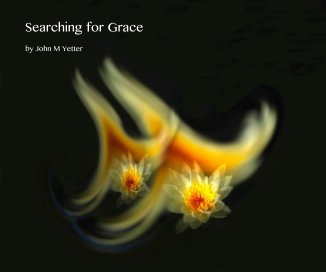 Searching for Grace book cover