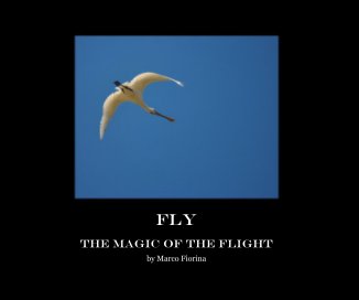 FLY book cover