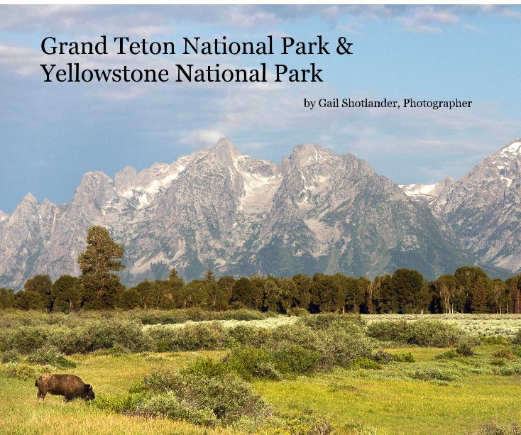 View Grand Teton National Park & Yellowstone National Park by Gail Shotlander, Photographer