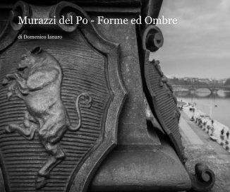 Murazzi del Po - Forme ed Ombre book cover