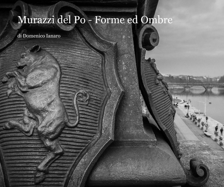 View Murazzi del Po - Forme ed Ombre by di Domenico Ianaro