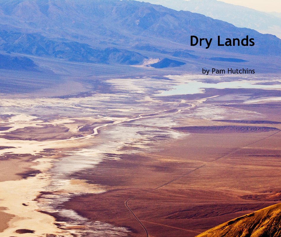 View Dry Lands by Pam Hutchins