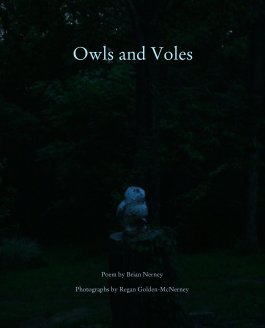 Owls and Voles book cover