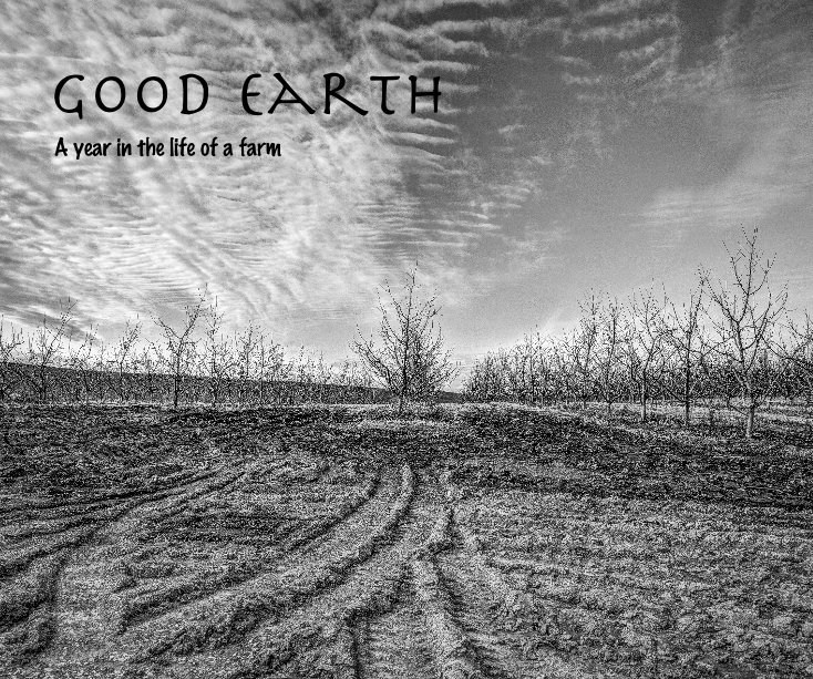 Ver Good Earth por Elizabeth Cunningham