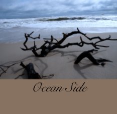 Ocean Side book cover