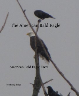 The American Bald Eagle book cover