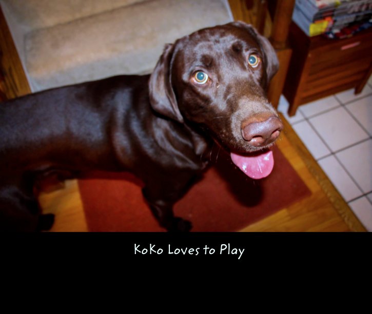 Ver KoKo Loves to Play por costelloca