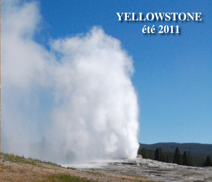 View Yellowstone by Yves Bourbonnais