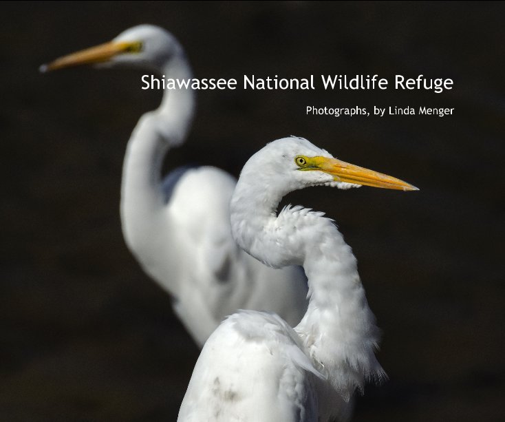 View Shiawassee National Wildlife Refuge by Linda Menger