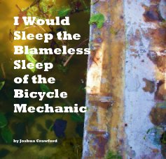 I Would Sleep the Blameless Sleep of the Bicycle Mechanic book cover