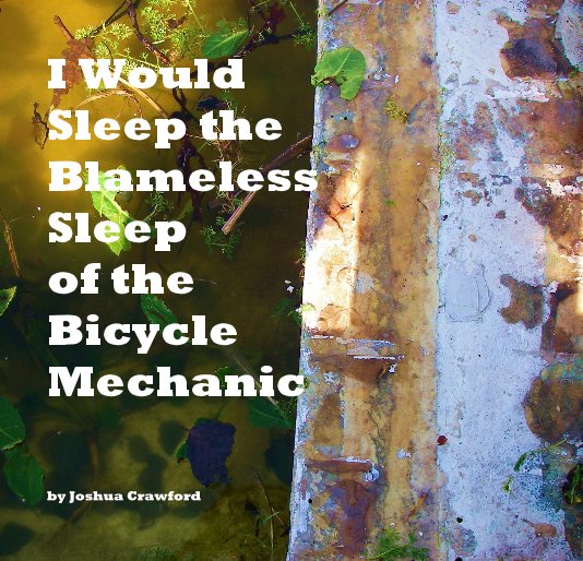 View I Would Sleep the Blameless Sleep of the Bicycle Mechanic by Joshua Crawford