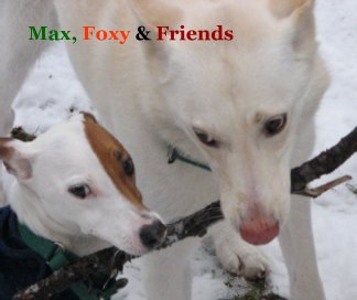 Max, Foxy & Friends book cover