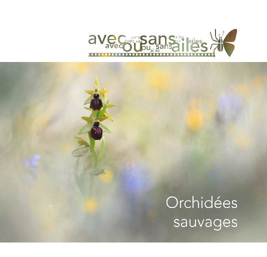 View Orchidées sauvages by Jean-Pierre Bertrand