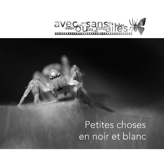 View Petites choses en noir et blanc by Jean-Pierre Bertrand