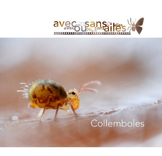 View Collemboles by Jean-Pierre Bertrand