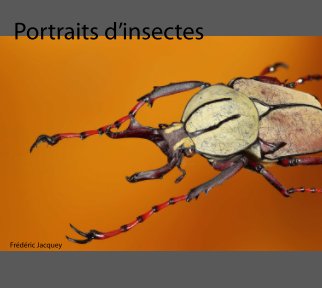 Portraits d'insectes book cover