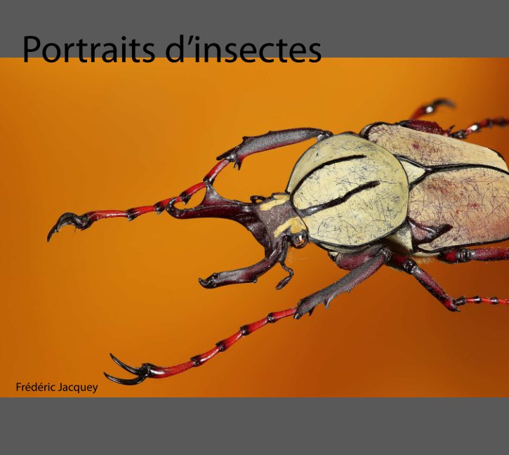 View Portraits d'insectes by frederic jacquey