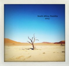 South Africa, Namibia 2013 book cover