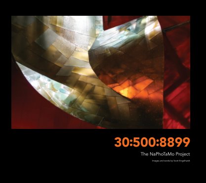 30:500:8899 book cover