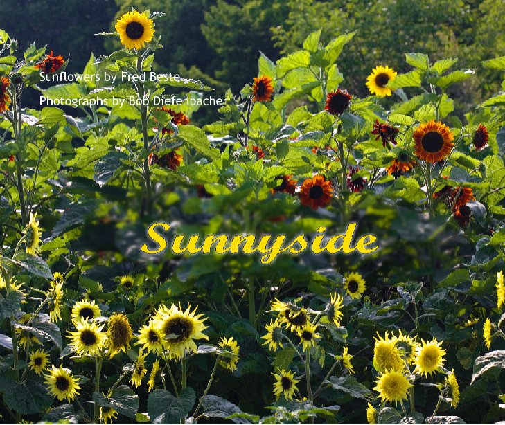 View Sunnyside by Photographs by Bob Diefenbacher