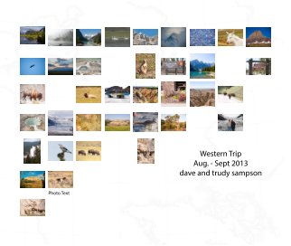 Western Trip 2013 book cover