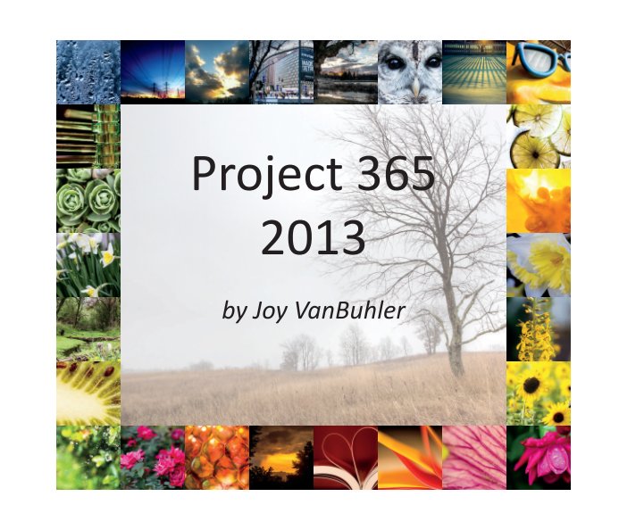 Ver Project 365 - 2013 por Joy VanBuhler