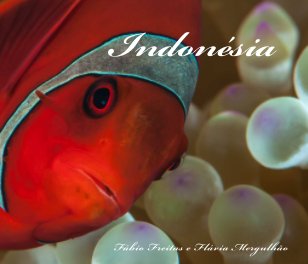 Indonésia Imagens Subaquáticas book cover