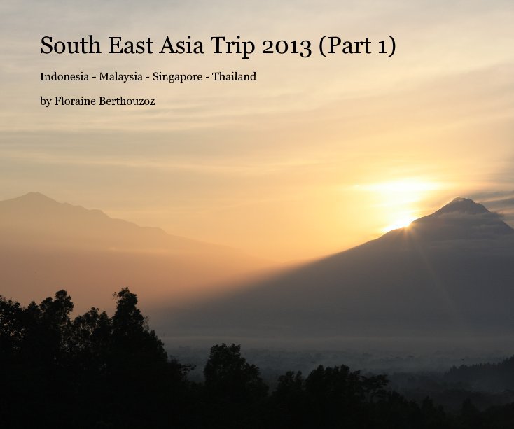View South East Asia Trip 2013 (Part 1) by Floraine Berthouzoz
