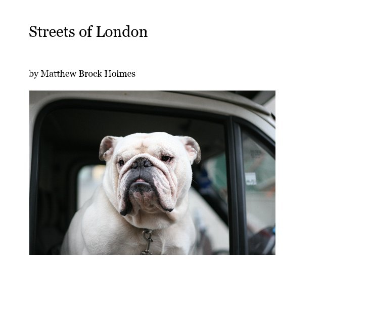 View Streets of London by Matthew Brock Holmes
