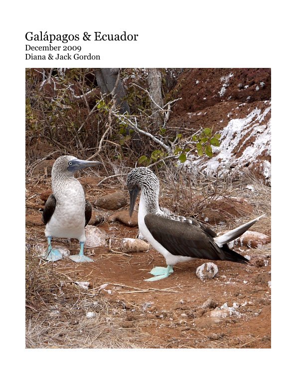 Ver Galápagos & Ecuador December 2009 Diana & Jack Gordon por Diana and Jack Gordon