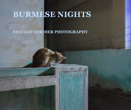 BURMESE NIGHTS book cover
