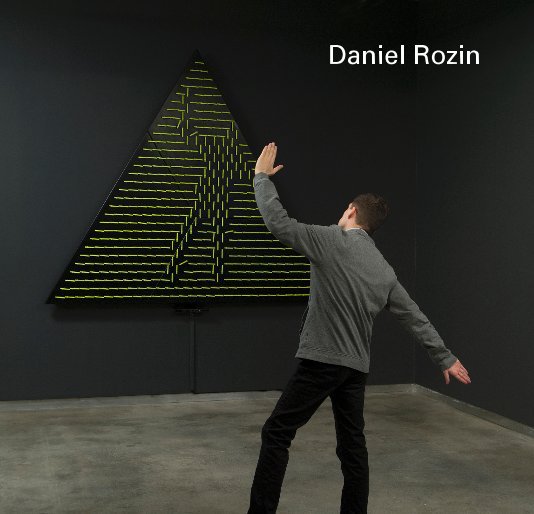 View Daniel Rozin by bitforms