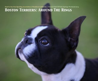Boston Terriers: Around The Rings book cover
