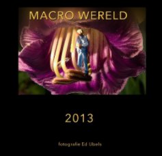 Macrowereld book cover