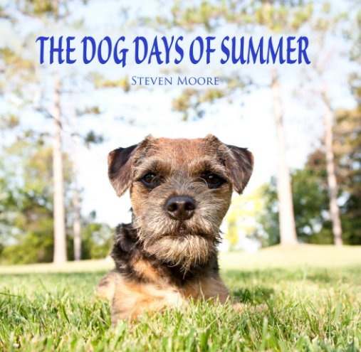 View The Dog Days of Summer (Small) by Steven Moore