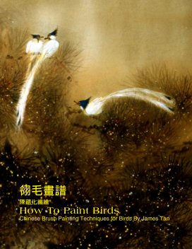 How To Paint Birds book cover