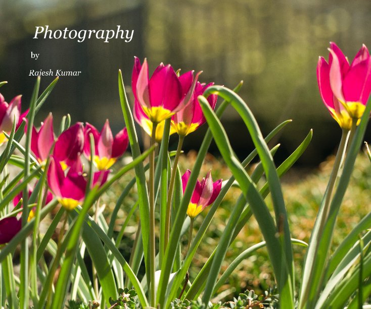 View Photography by Rajesh Kumar