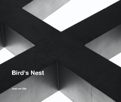 Bird's Nest book cover