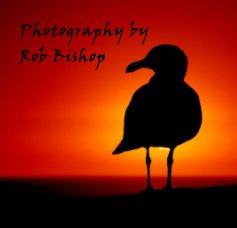 Photography by Rob Bishop book cover
