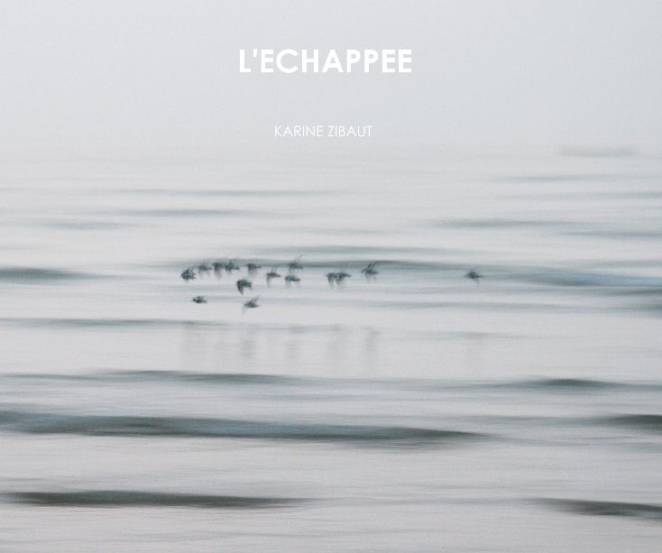 View L'ECHAPPEE by KARINE ZIBAUT