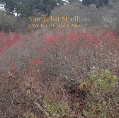 Nantucket Stroll: A Walk on the Quiet Side book cover